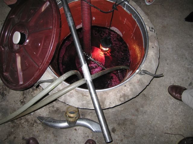 photo7.jpg
