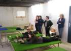 dscf6060_small.jpg