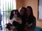 dsc02268_small.jpg