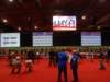dsc09179_small.jpg