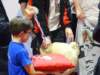 dsc09190_small.jpg